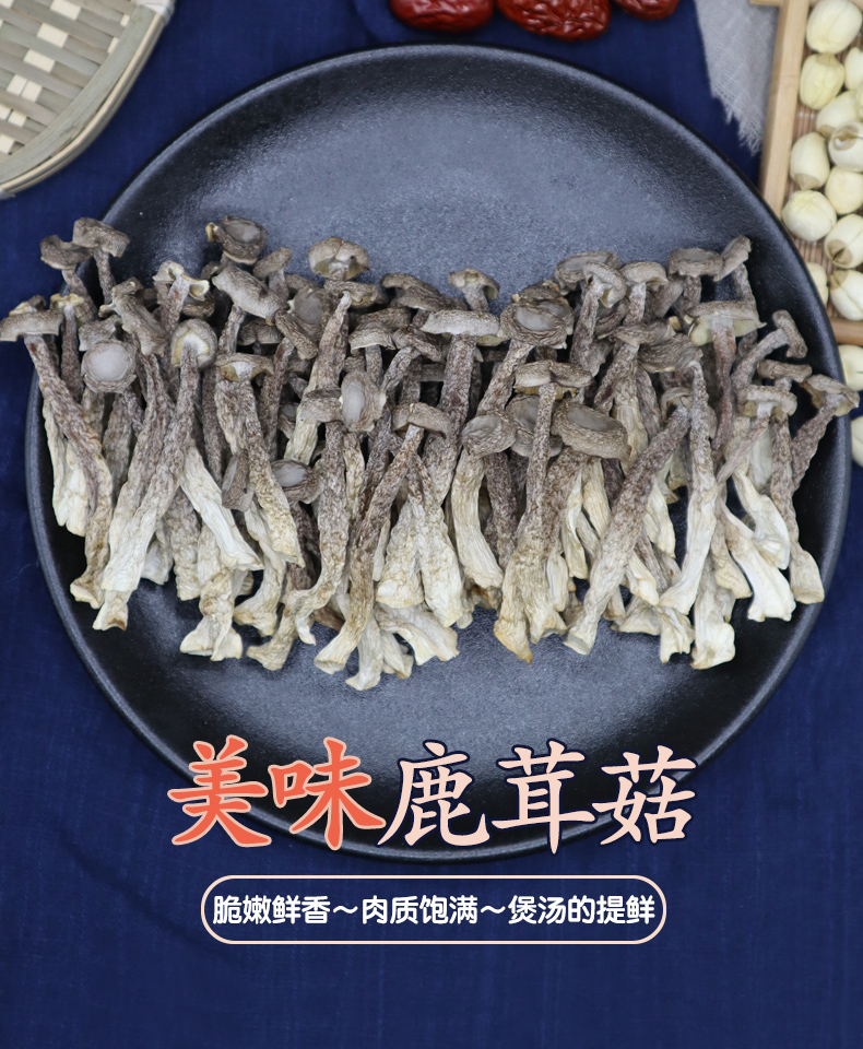 福建古田鹿茸菇乾貨500g 無燻硫 幹鹿茸菌菇煲湯食材