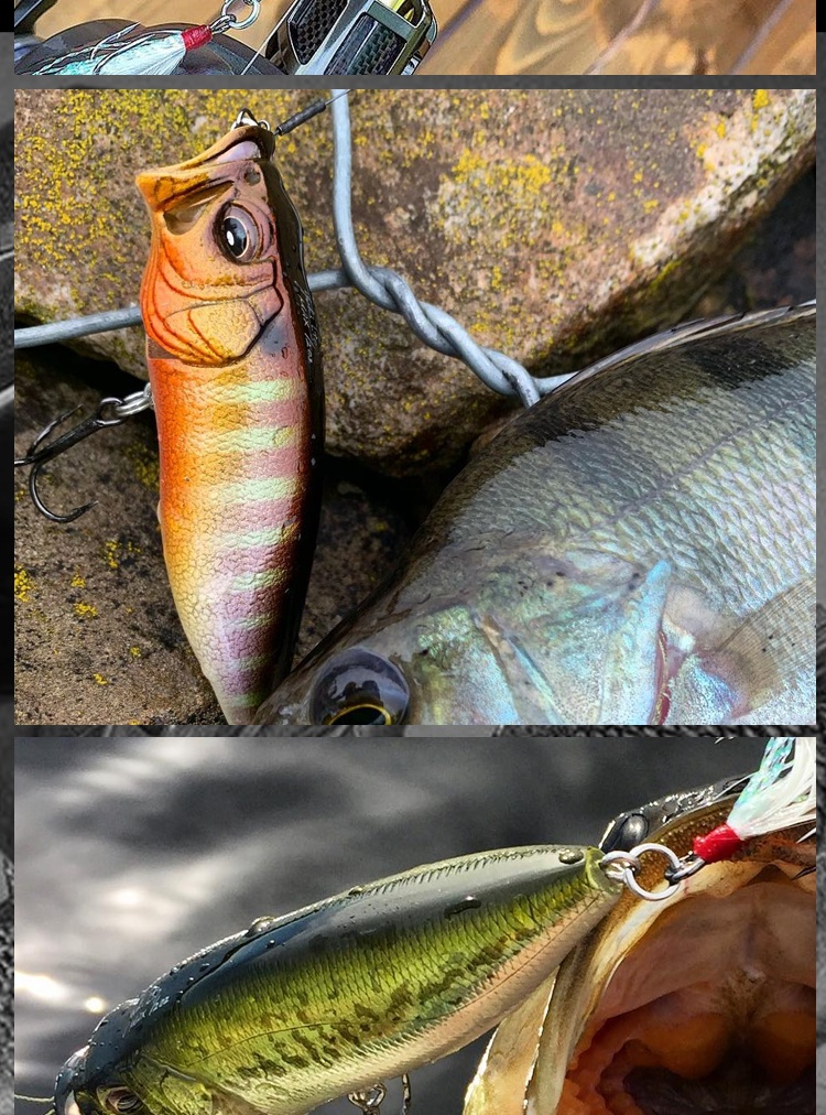 popmax日本波趴进口路亚鱼饵波爬黑坑鲈鱼水面系14克浮水megabass同款