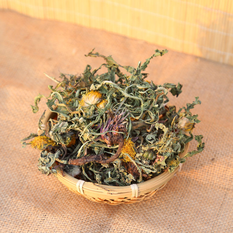 晨臻 蒲公英晒干整棵带根花蒲公英茶纯野生天然中草婆婆丁新货茶浦公