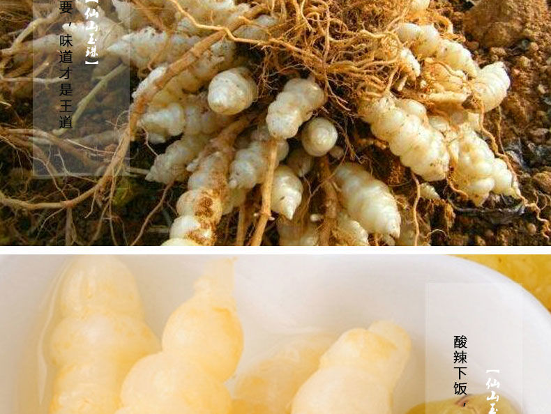 仙山玉珠重庆黔江土特产地牯牛仙山玉珠泡菜草石蚕下饭菜泡椒味宝塔菜