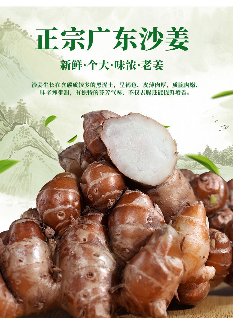 广东沙姜新鲜现挖沙姜老姜土特产食用椰子鸡蘸料新鲜沙姜1斤尝鲜装