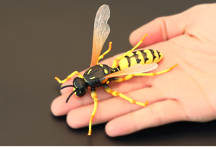 儿童仿真昆虫玩具实心摆件儿童昆虫玩具模型套装大黄蜂马蜂胡蜂蜜蜂