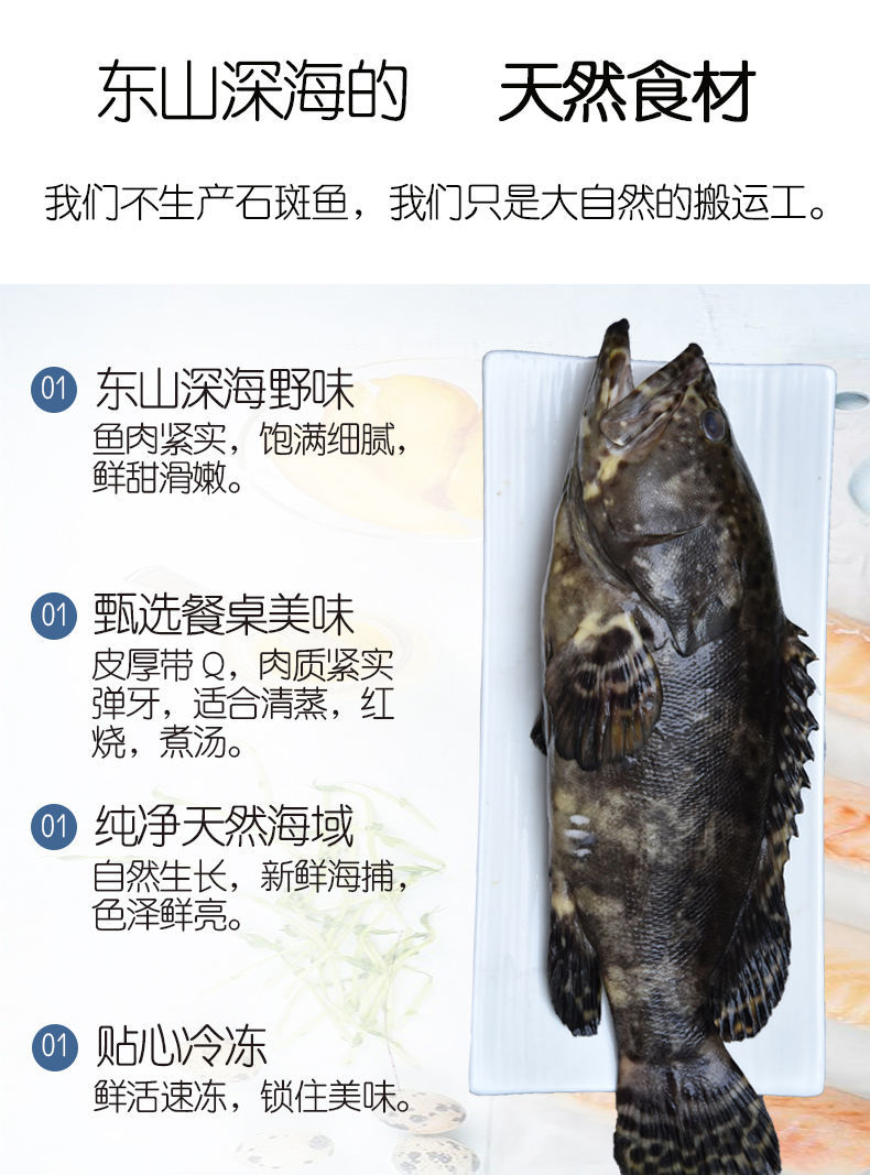 海捕石斑鱼顺丰空运 500g-600g共1条装【图片 价格 品牌 报价】-京东