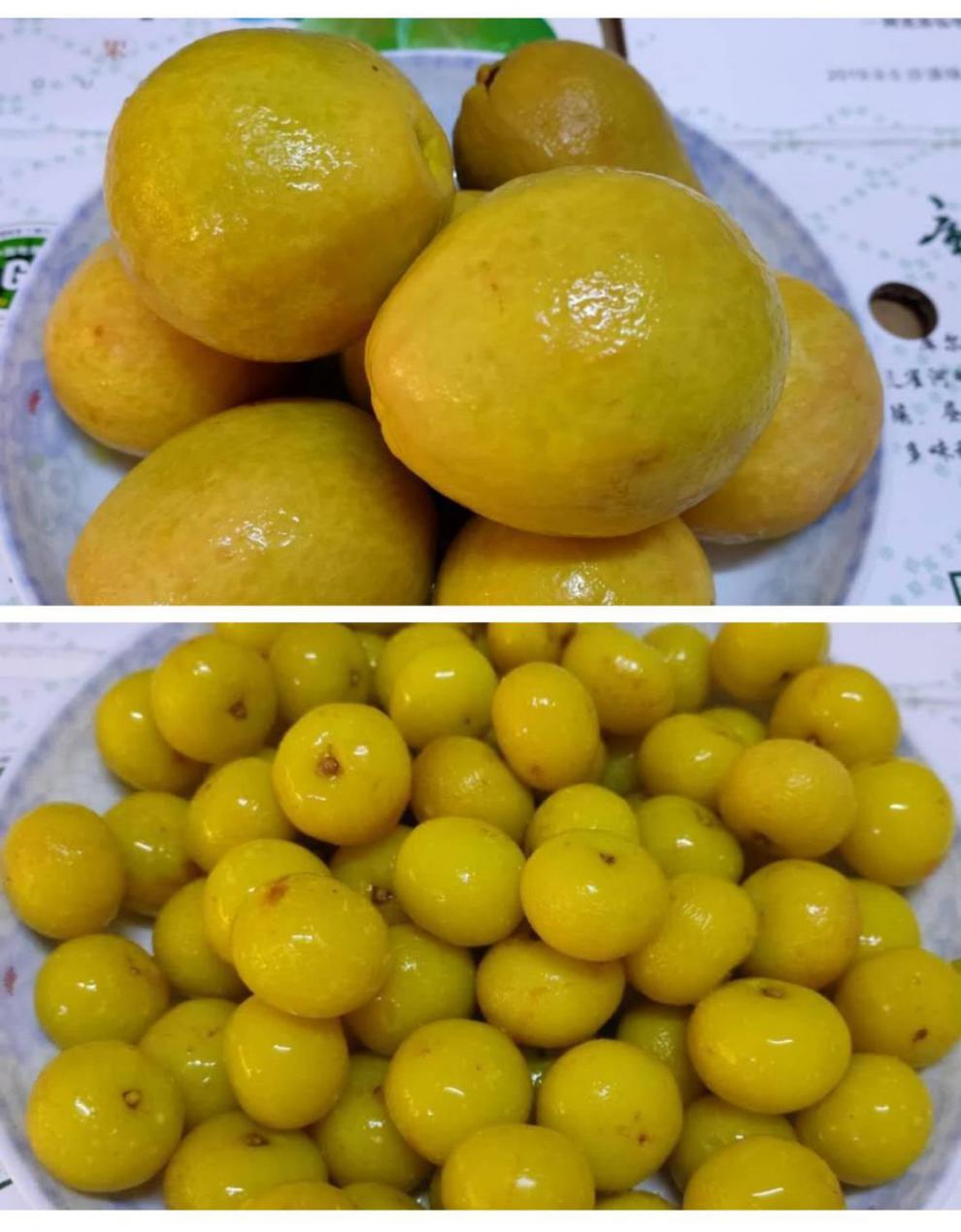 潮汕腌制水果油柑鸟桃子梅子李子水泡鲜果手工制作什锦500g混合口味46