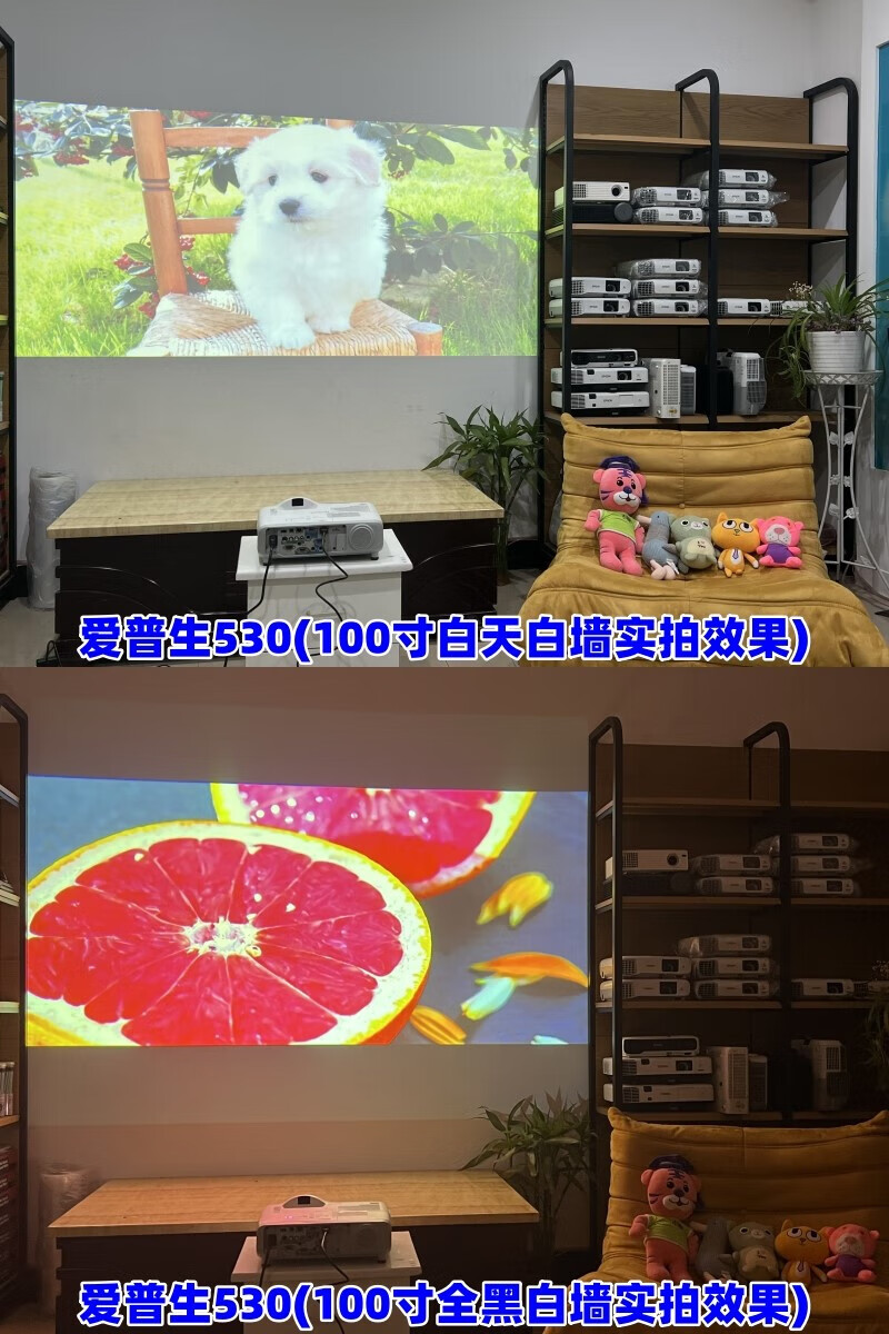 e95dffbb5a4ebd14.jpg