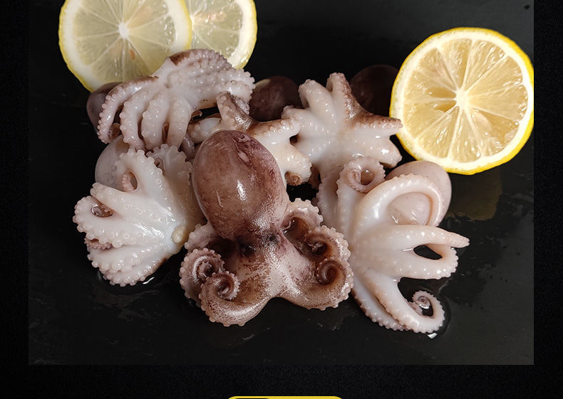 八爪鱼鲜活 冷冻海鲜水产爆头小章鱼花短腿刺身迷你网红小八爪鱼 5斤