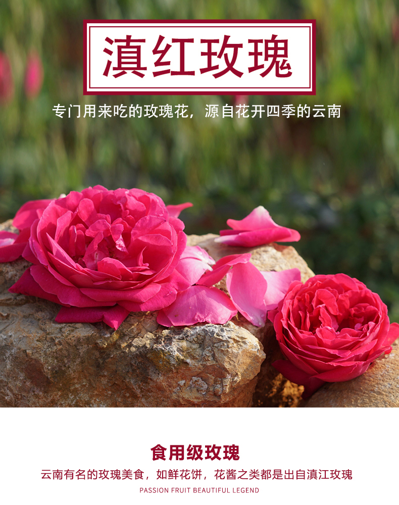 骄瑰云南滇红玫瑰鲜花新鲜可食用玫瑰花纯花瓣做玫瑰酱鲜花饼不涩1000