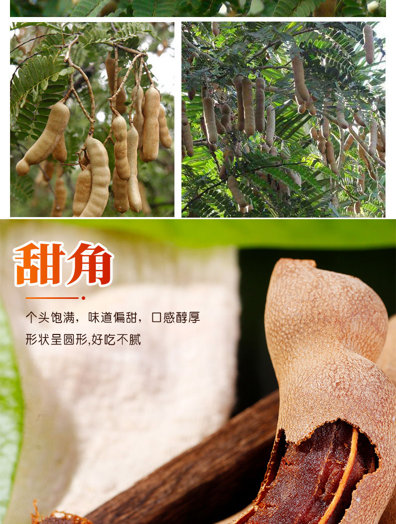 酸角云南特产带壳酸甜角零食罗望子新鲜甜角甜角1斤酸甜角1斤200克