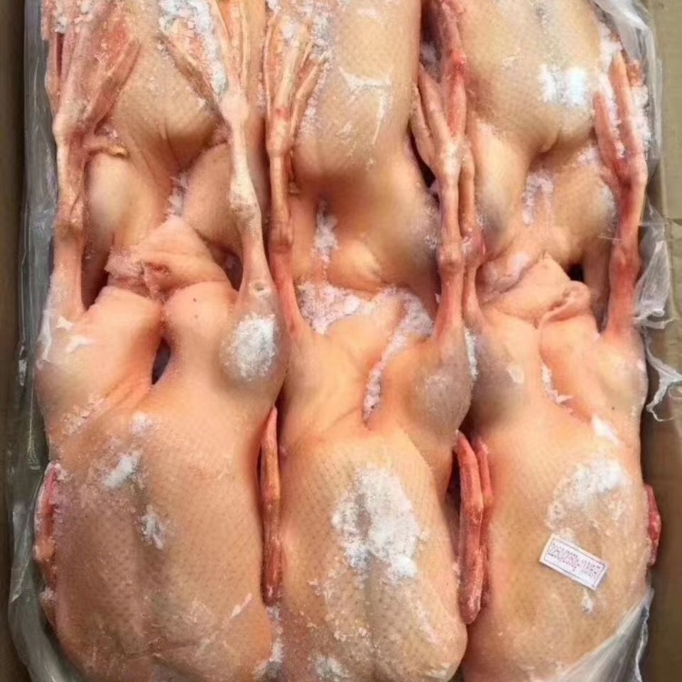 新鲜冷冻白条鹅整鹅全鹅光鹅大白鹅整箱40斤饭店卤菜食材整箱40斤7只