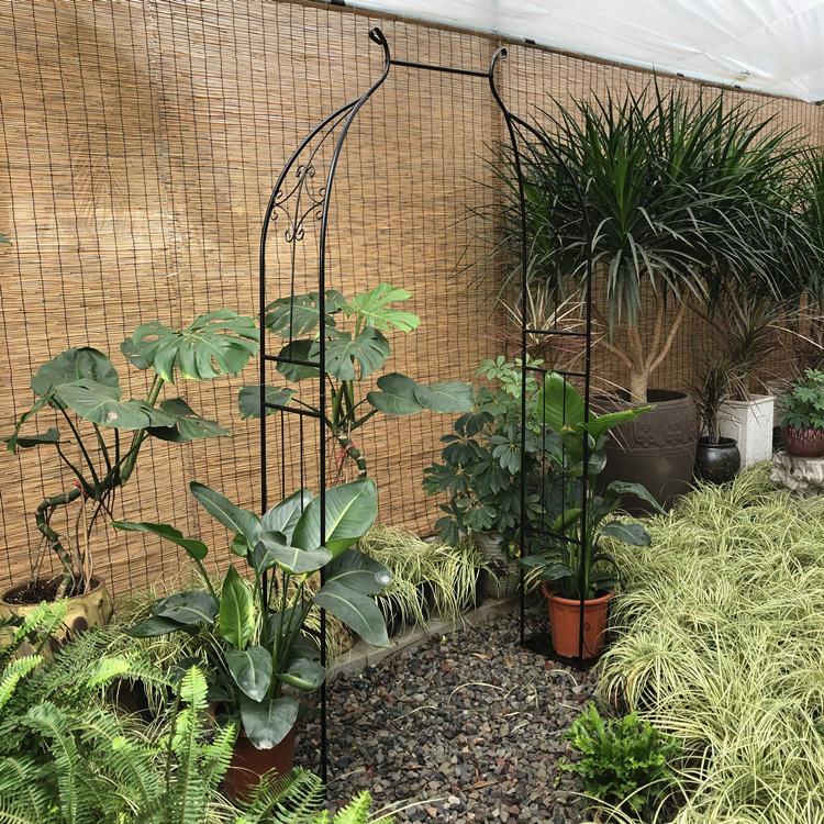 拱门花架铁艺葡萄架钢管铁线莲月季拱门花架爬藤架子拱形攀爬植物支架