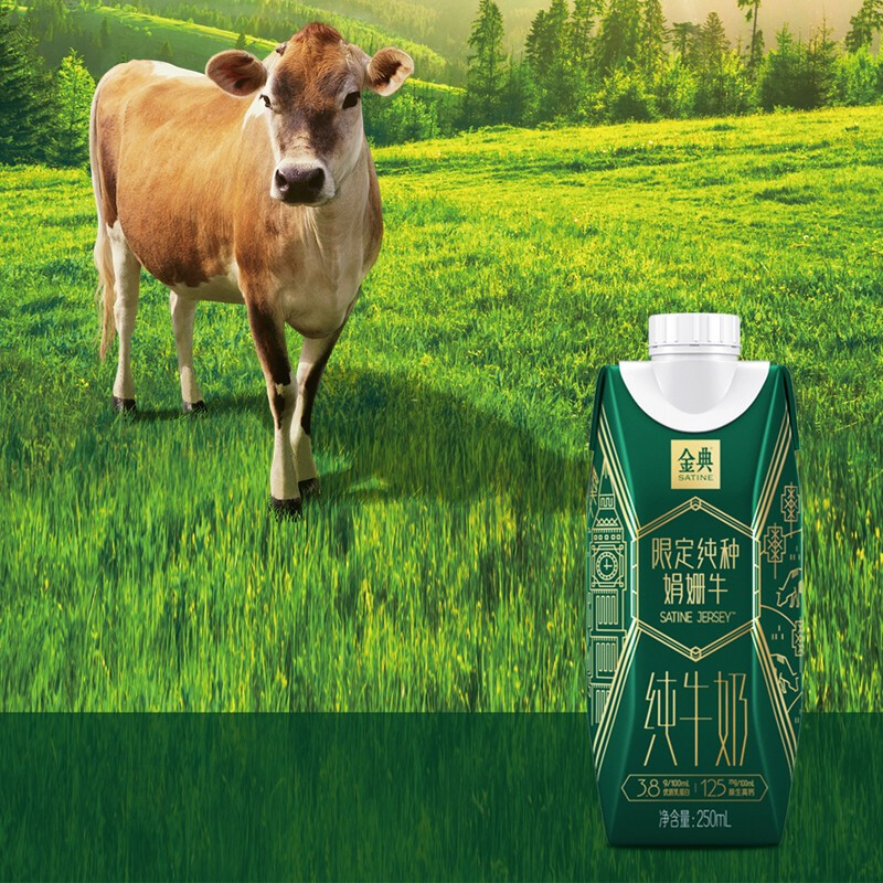金典店金典娟姗纯牛奶250ml10盒箱38g乳蛋白娟姗牛