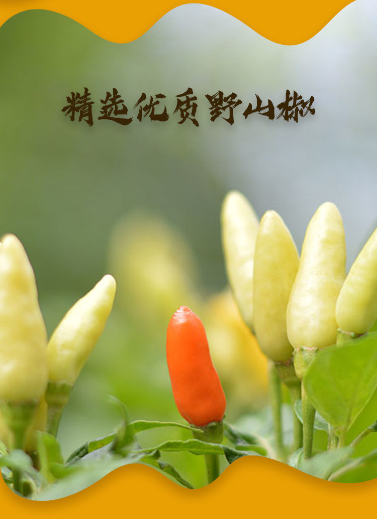 东古 野山椒300g新鲜小米辣椒泡椒凤爪泡菜泡竹笋家用商用老母水料 2