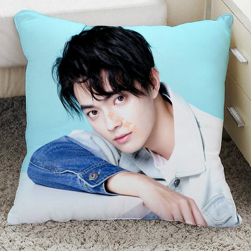 千古玦尘周边许凯抱枕白玦清穆靠枕定制玩偶人形公仔海报o40x40cm抱枕