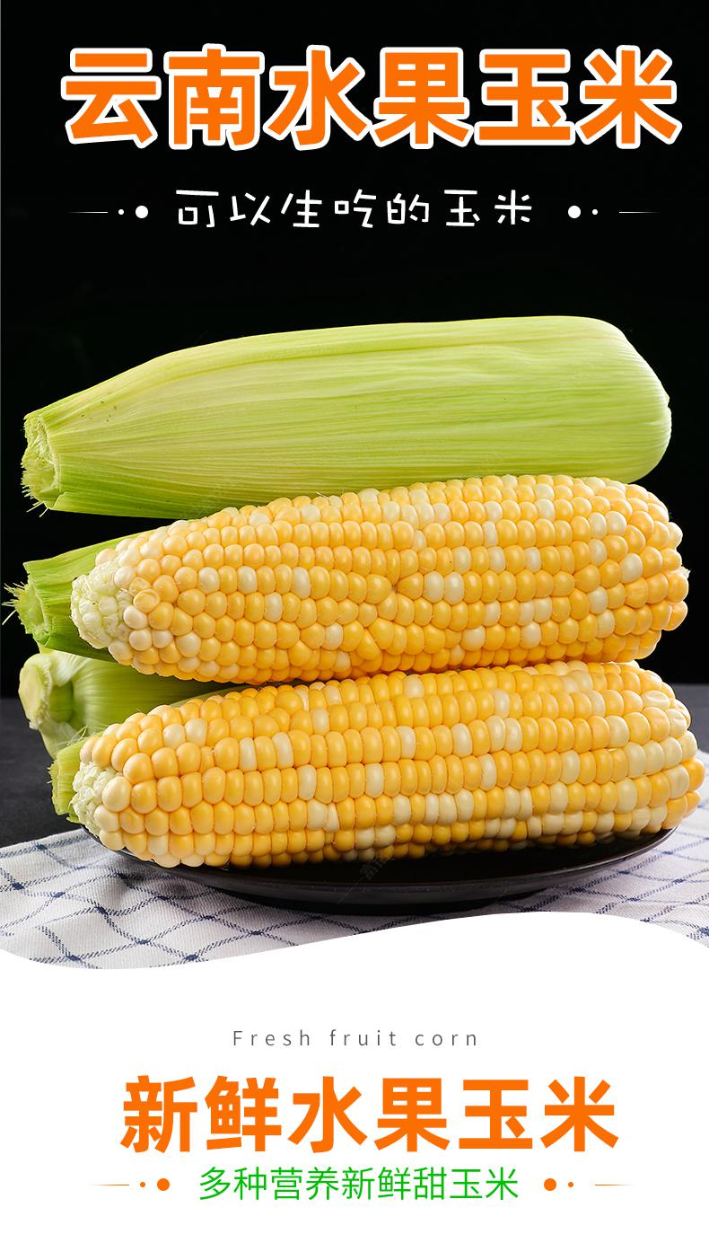 云南水果玉米 生鲜甜玉米棒 新鲜当季蔬菜 9斤装