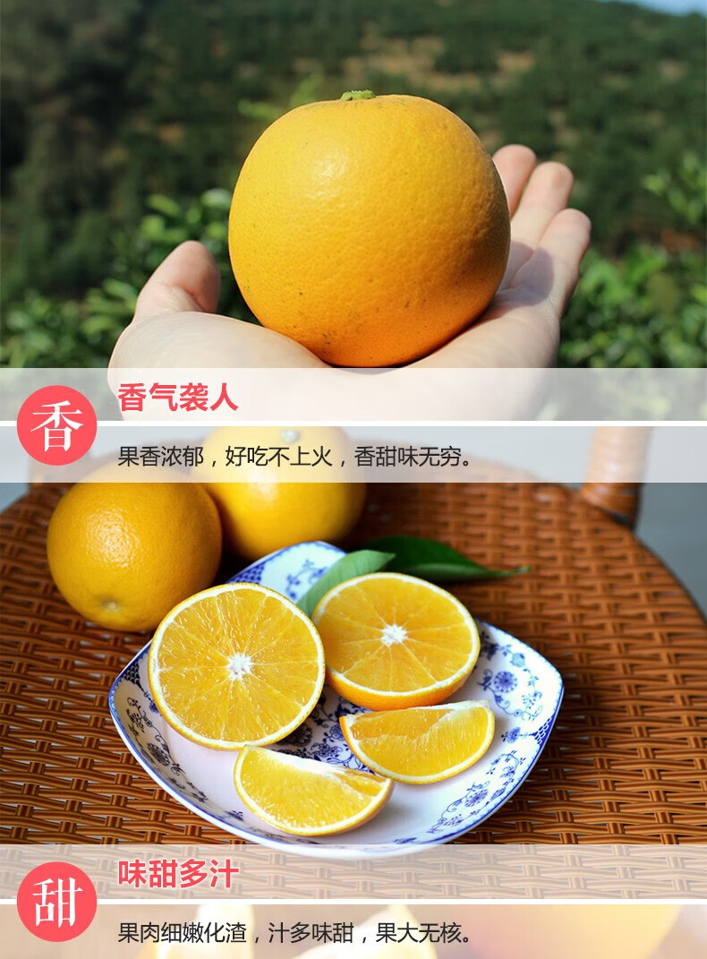 正宗永兴郴州冰糖橙礼盒装郴州现摘新鲜橙子超甜皮薄大果应季水果