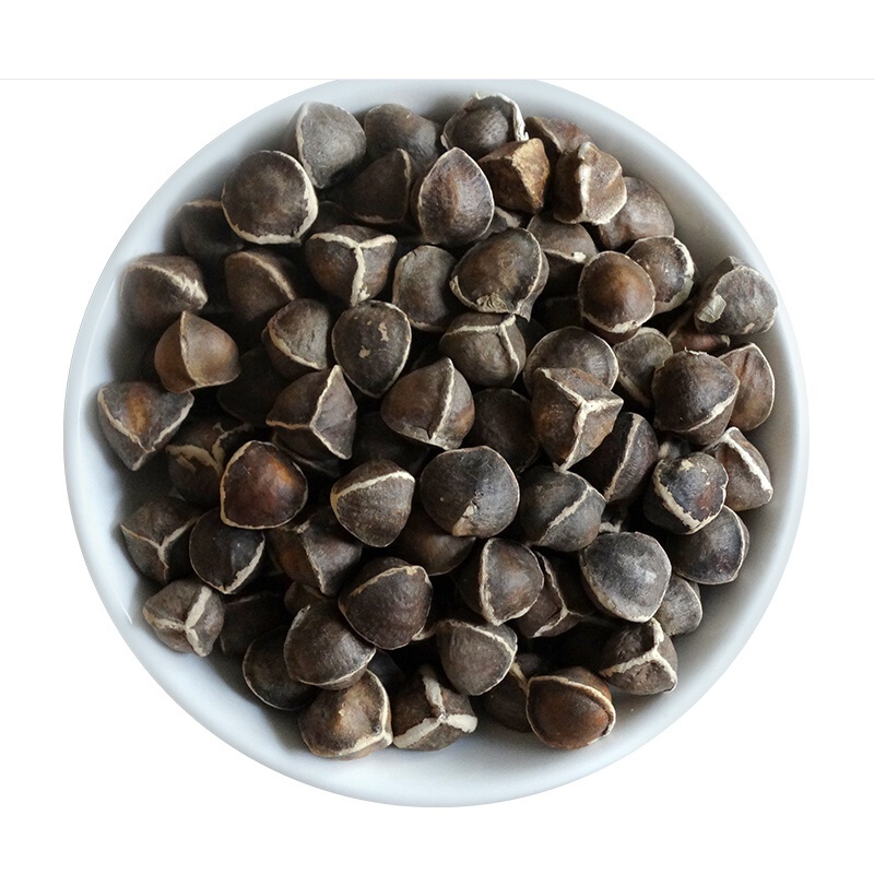 伟博草伊颜云南辣木籽的功效食用的功效非印度特级辣木子500g辣木籽