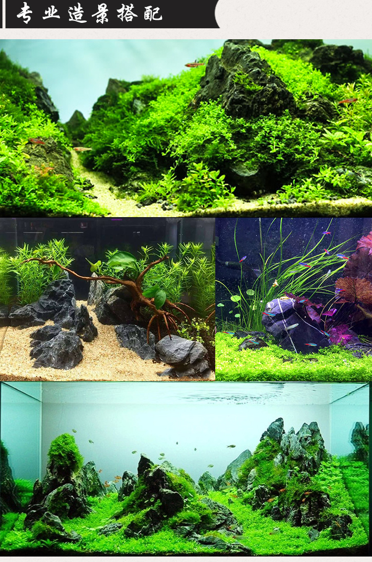 青龙石造景石鱼缸石头造原生缸石块造景材料摆件松皮石 青龙石精选5