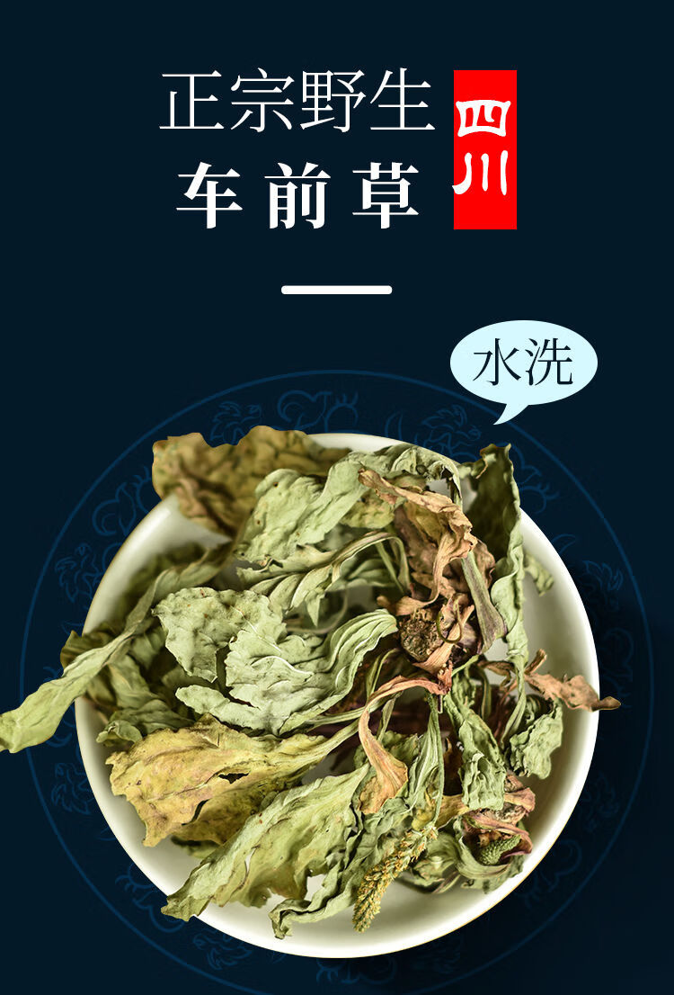 源於花香正宗車前草野生中藥材車前草茶功效整顆手工去泥水洗幹車前草