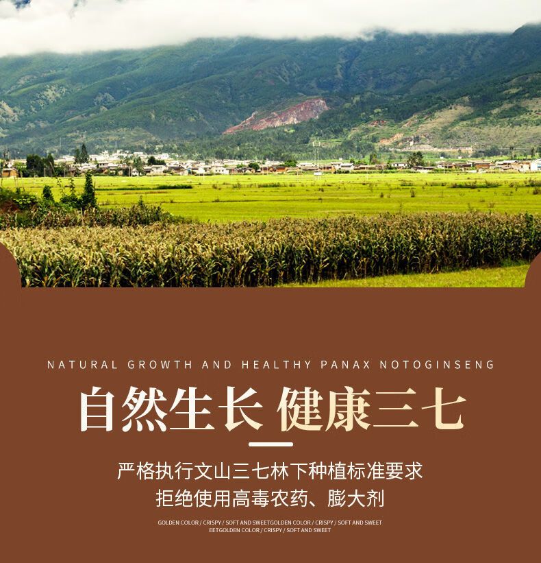 文山三七田七15头18头20头30头60头云南文山三七粉三七切片沁溪 整个