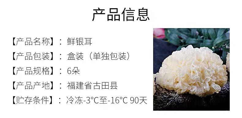 辰颐物语银耳辰颐物语古田银耳6朵礼盒装深山新鲜鲜珥白木耳无硫雪耳