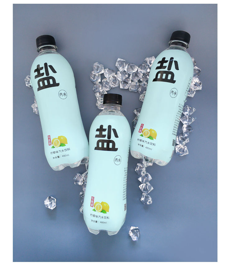 盐汽水碳酸饮料柠檬味气泡水 上海风味夏季汽水批发多省 盐汽水480ml*