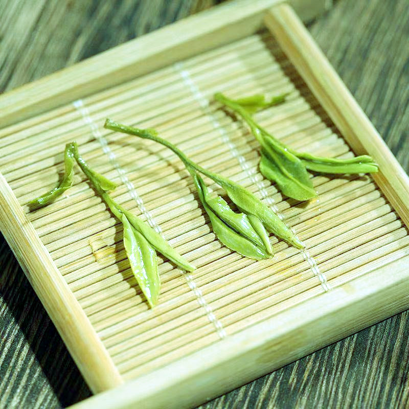 晨臻新茶茶炒青绿茶春季高山云雾茶浓香500g