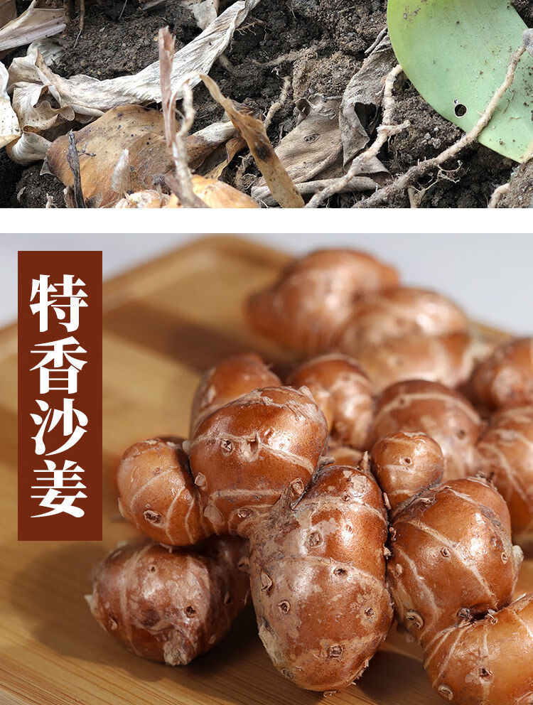 广东沙姜新鲜正宗现挖沙姜老姜土特产食用椰子鸡蘸料调料种子新鲜沙姜