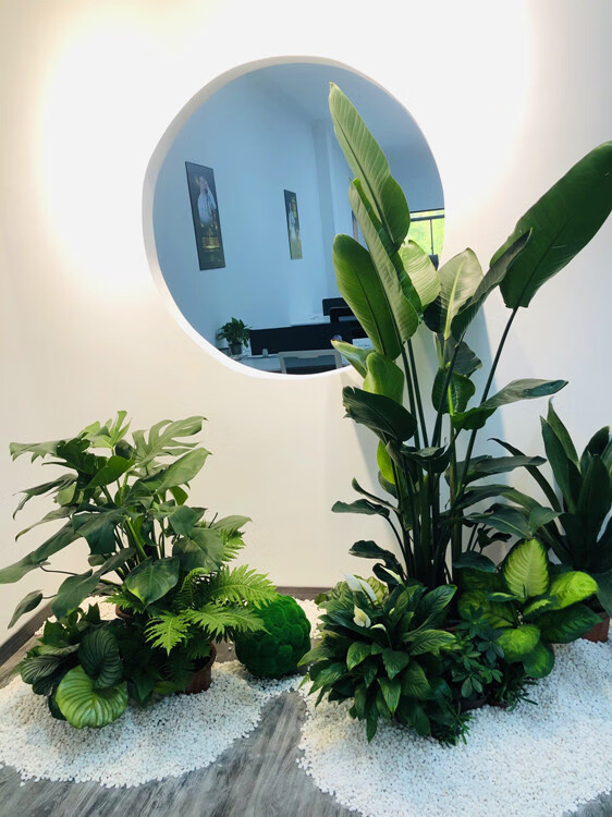 凯都 仿真植毛圆球绿植植物球草苔藓球草球青苔球软装吊顶婚庆櫉墙