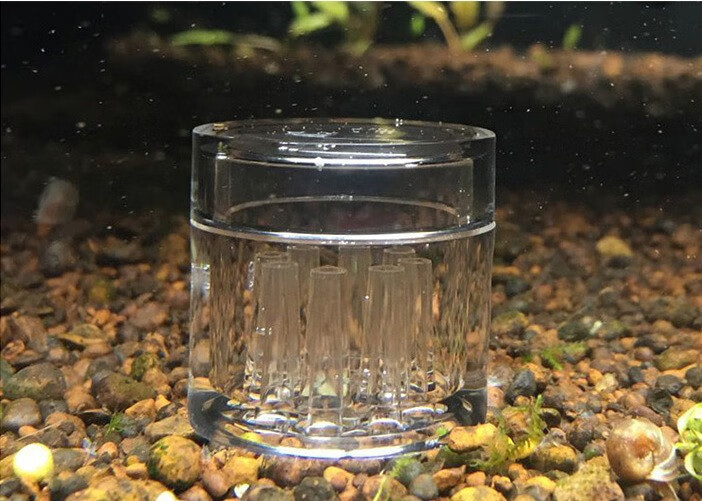 水蛭诱捕器水蛭捕捉器亚克力八孔鱼缸涡虫蛋白虫诱捕器水族虾缸蜗虫