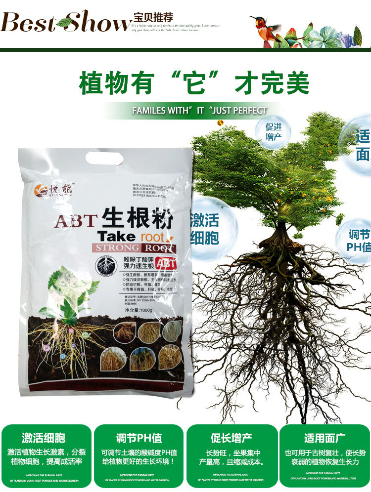 发根通用花卉大树果树移栽扦插富贵竹蔬菜绿萝生根壮苗锐衡30克生根粉