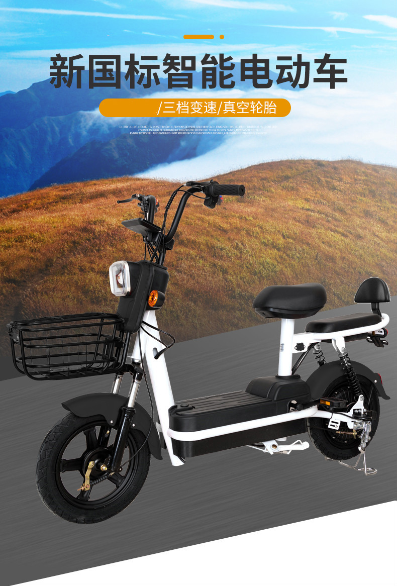雅迪同款新国标电动车小型电瓶车成人两轮代步电动自行车必在 黑色