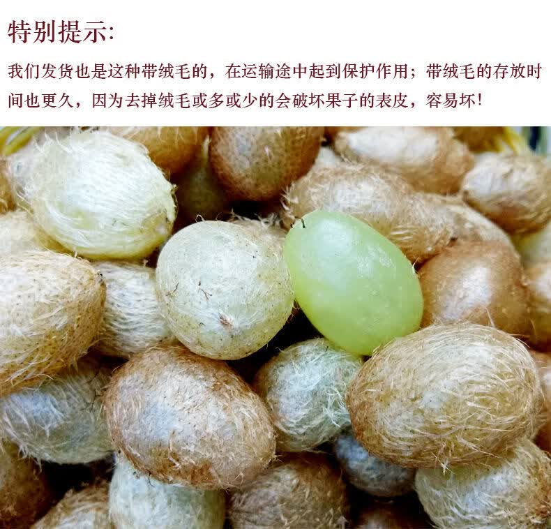 伟博贵州野生新鲜石黄皮中药材 深山现挖精选肾蕨子果化狗儿1份3斤装