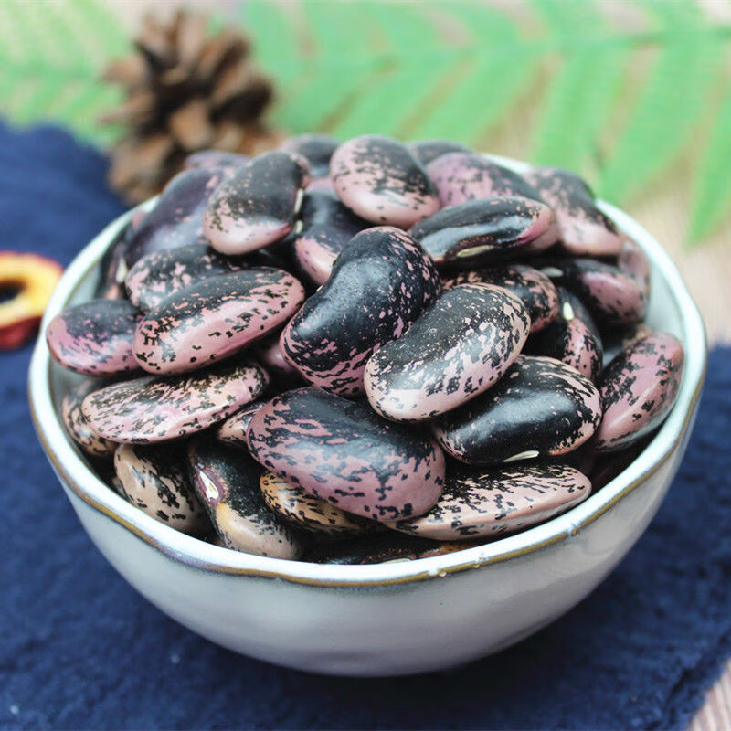 维霆-5斤 云南农家雪山黑芸豆牛眼豆大花豆豆类杂粮粗粮 大黑花芸豆1