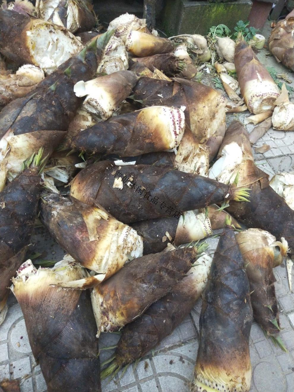 新货浙江绍兴余姚嵊州特产高山笋干菜笋丝梅干菜笋子菜 年明前笋干菜