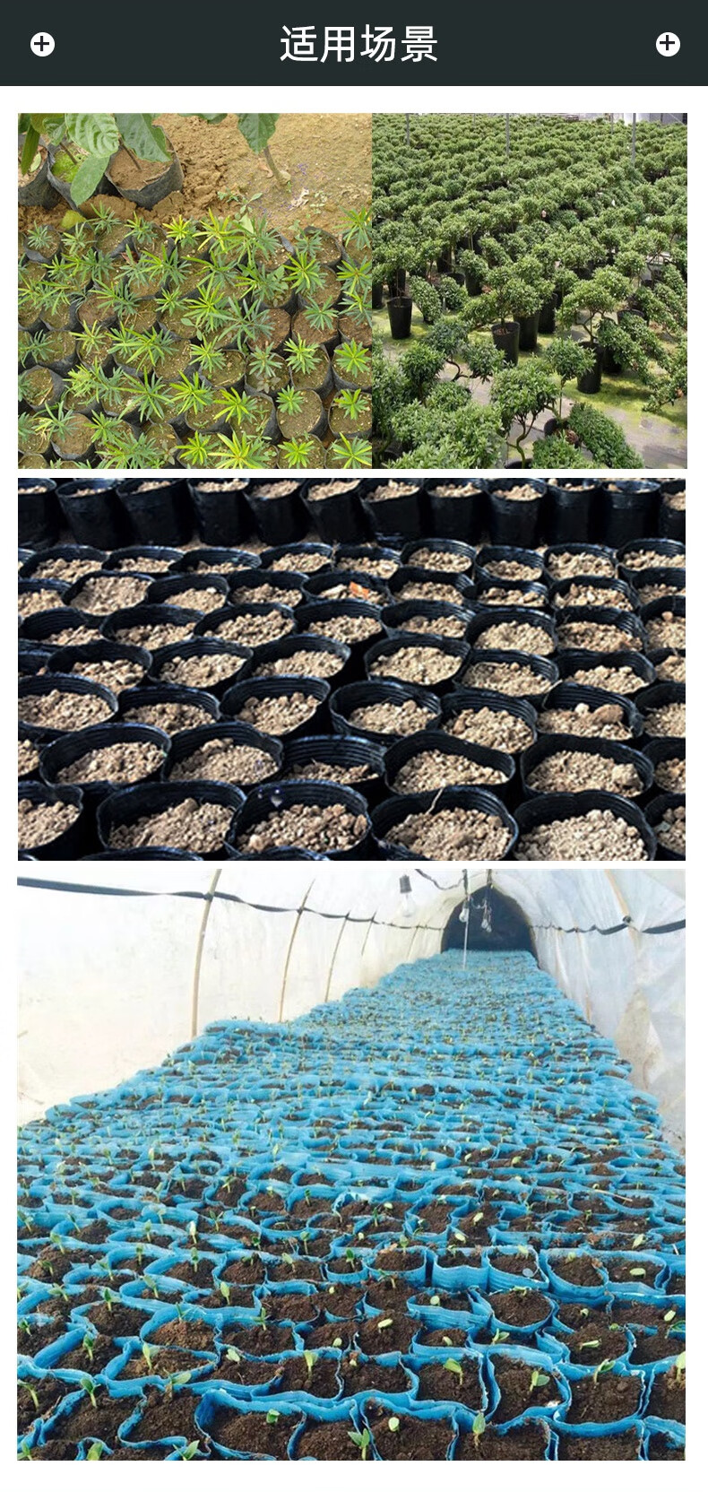 昊兰诺营养钵加厚一次性营养袋种植花盆营养杯育苗盆种植育苗穴盆育苗