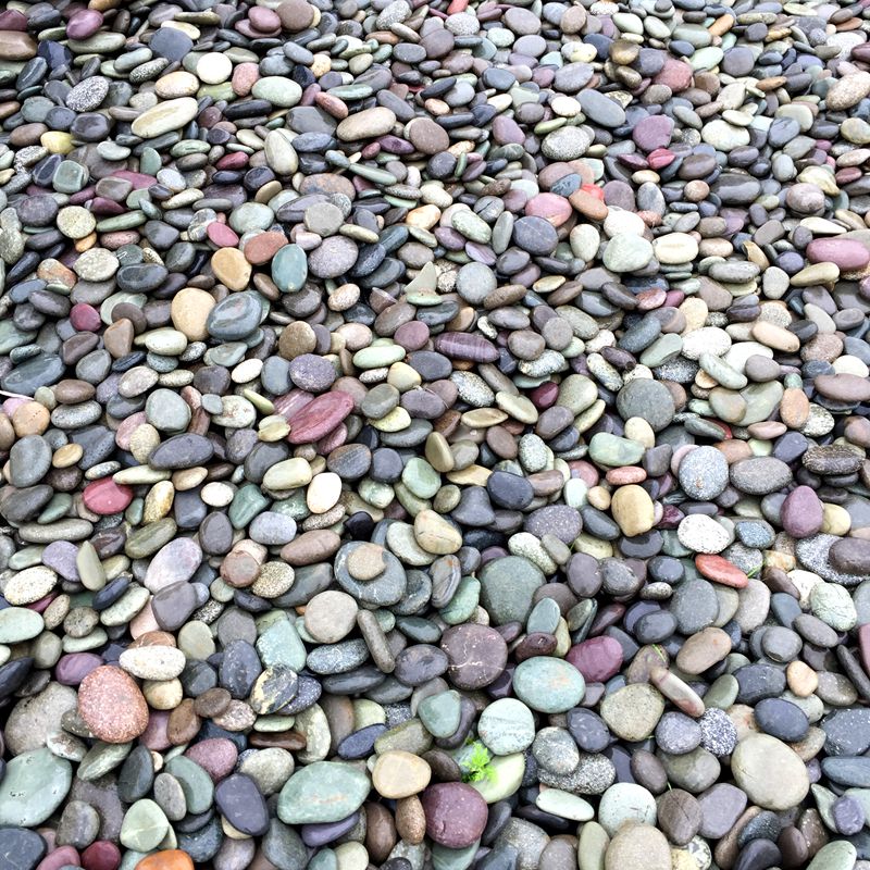 天然鹅卵石扁石头铺路石子园艺鱼缸石头雨花石鹅暖石铺地 扁石头8-12