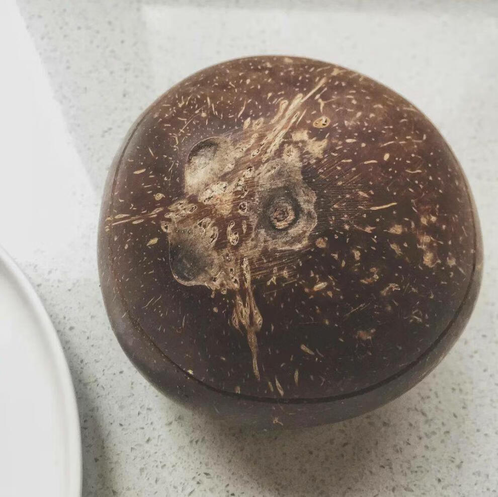 海南牛奶黑椰皇 海南椰奶香榨汁 孕妇饮料 老椰皇抛光炖盅黑椰子 网红