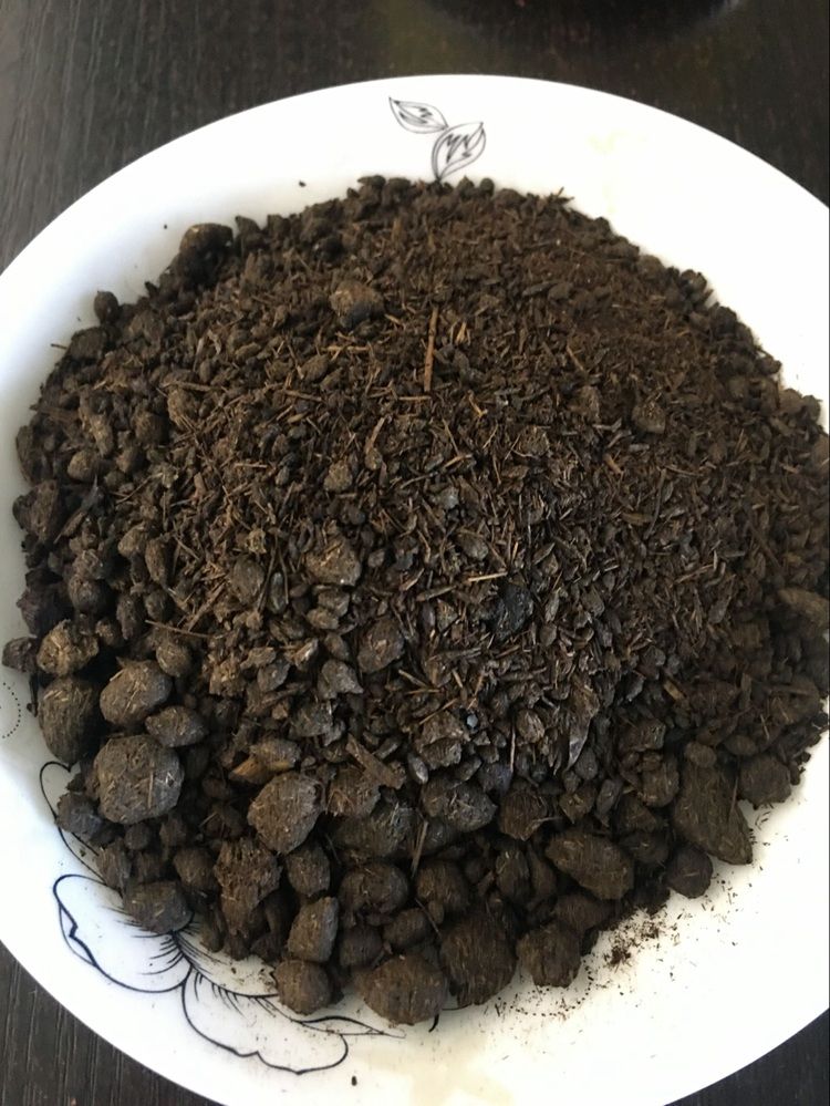 云南德宏傣味撒撇苦水原料干苦料牛苦肠农家手工自制苦水粉 傣味撒撇