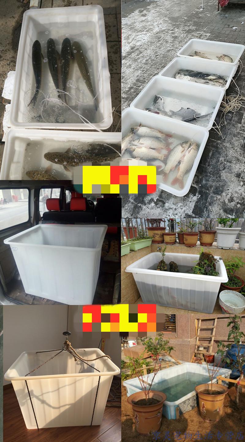 大号加厚塑料水箱长方形储水桶水产养殖养鱼牛筋箱泡瓷砖养龟浅盆 50l