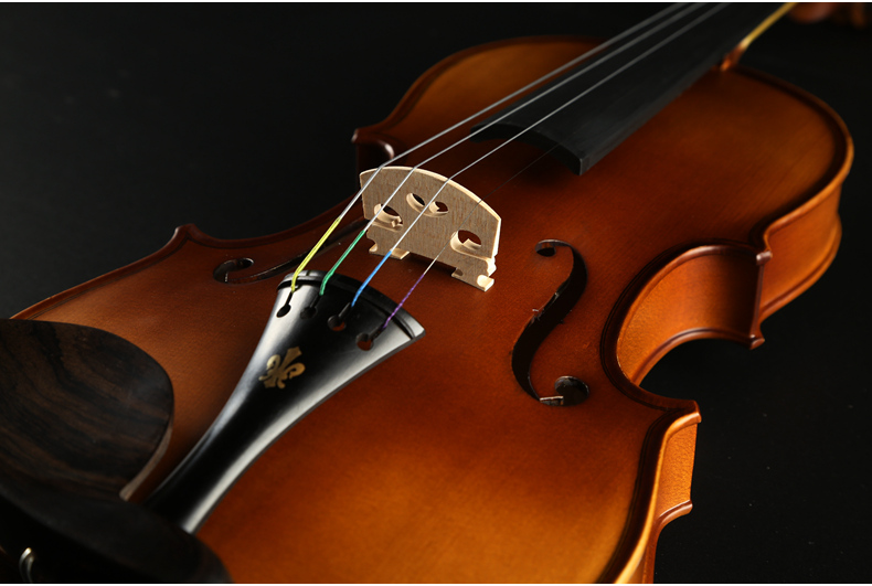 小提琴德国wittner进口小提琴弦轴德国机械弦轴款小提琴d144