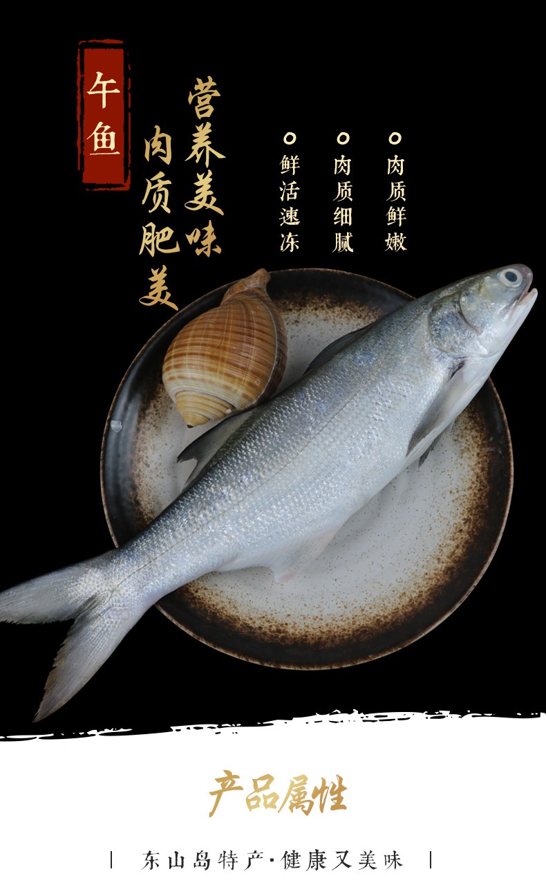 午鱼 鲜冻野生马友鱼 东山岛海捕现捞 鱼类 愚港