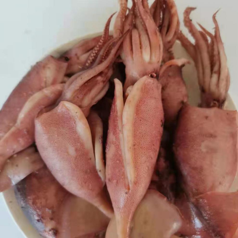 新货去内脏海兔开片鱿鱼墨鱼鱿鱼仔海兔子小鱿鱼海鲜水产批发斓维品