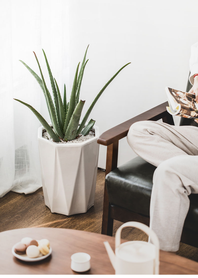 陶瓷花盆白色简约特大号带托盘现代北欧客厅办公室落地龟背竹花盆hx