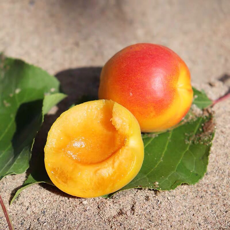 爵妃 新疆小红杏阿克苏时令大甜杏子新鲜应季水果当季非小白杏1/4斤