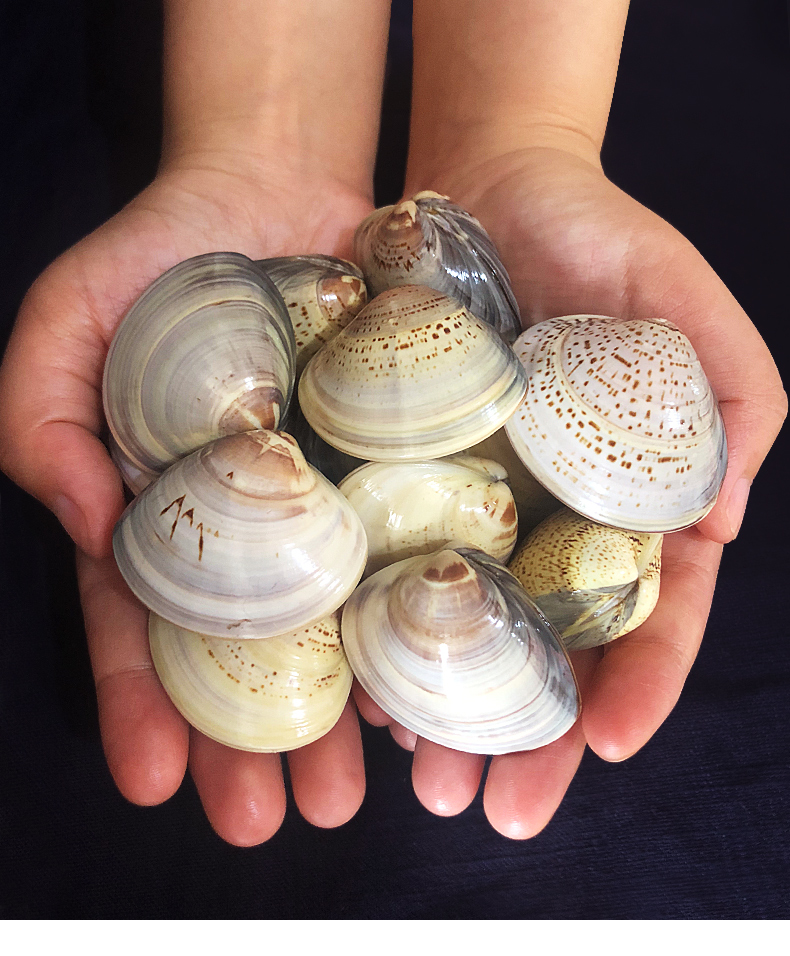 5个装老上海蛤蜊油国货防干裂贝壳油歪歪油哈喇护手霜哈利滋润手足