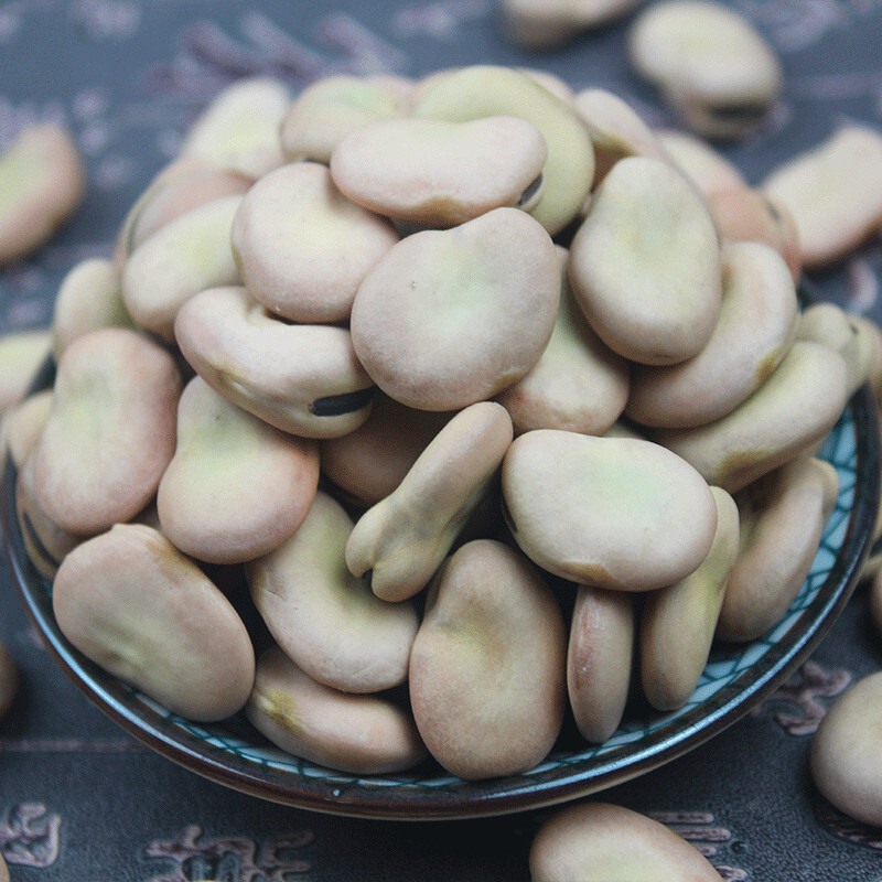 yz生干蚕豆5斤新鲜白皮蚕豆白蚕豆农家胡豆罗汉豆发芽蚕豆种子