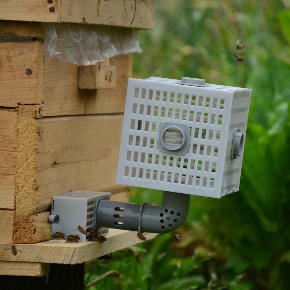 中蜂自动分蜂器无人值守收蜂神器分蜂收王器分蜂器中蜂自动收蜂器