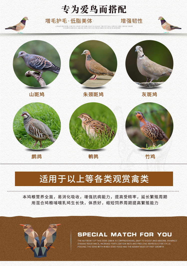 粮竹鸡食物仓鼠粮17合1鸽粮竹鸡鹧鸪粮观赏鸡饲料鸟食 享动 鸟食 享动