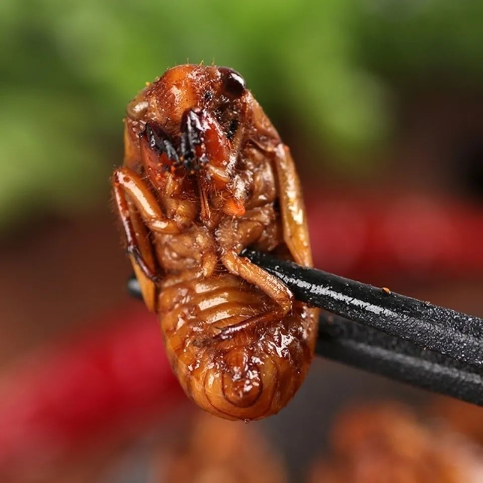 油炸知了猴山东特产爬叉猴金蝉即食食品唐僧肉节流鬼昆虫即食 油炸香