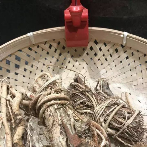 中药材红娘根250克奶娘根香料250克